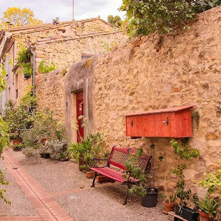 Homnest - L'art De Vivre - 20 Min Carcassonne